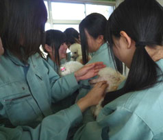 チルミーハウス トリミングスクール修了式