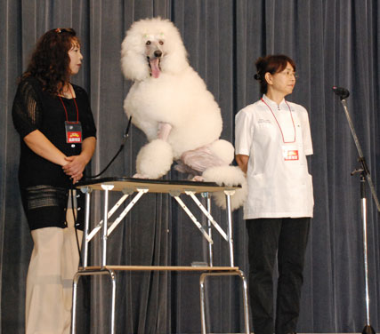 RKK　ワンワン大集合 １日目スタンダードプードル