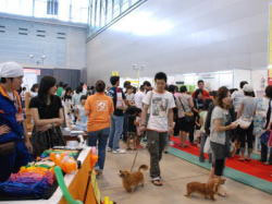 RKK　ワンワン大集合 １日目スタンダードプードル