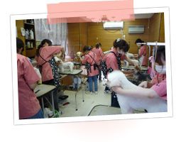 チルミーハウス トリミングスクールの様子