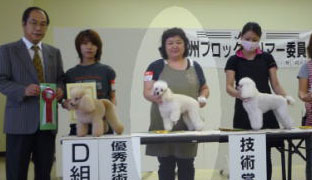 2010年度トリミング競技会の様子