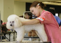 2009年度トリミング競技会の様子