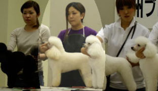 2009年度トリミング競技会の様子