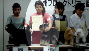 2008年度トリミング競技会の様子