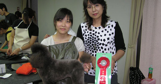 2006年度トリミング競技会の様子