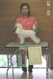 2005年度トリミング競技会の様子