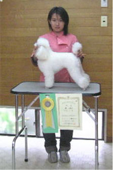 2005年度トリミング競技会の様子