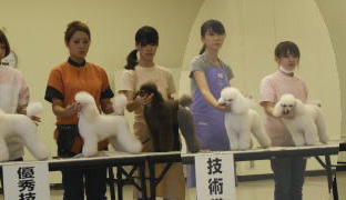 2011年度トリミング競技会の様子