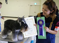 2012年度トリミング競技会の様子