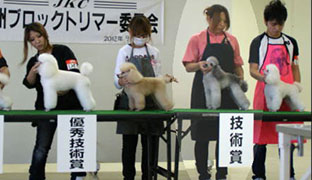 2012年度トリミング競技会の様子