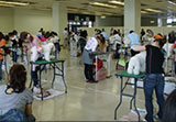 2012年度トリミング競技会の様子