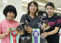 2013年度トリミング競技会の様子